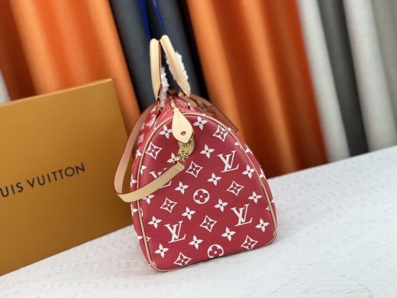 LV Travel Bags